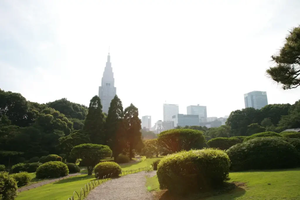 新宿御苑から見える風景。自然豊かな公園から見える新宿の高層ビル