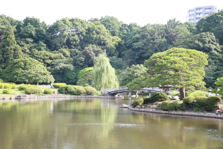 新宿御苑から見た池の風景
